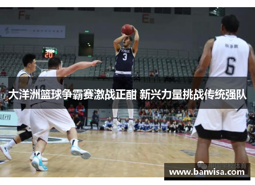 大洋洲篮球争霸赛激战正酣 新兴力量挑战传统强队