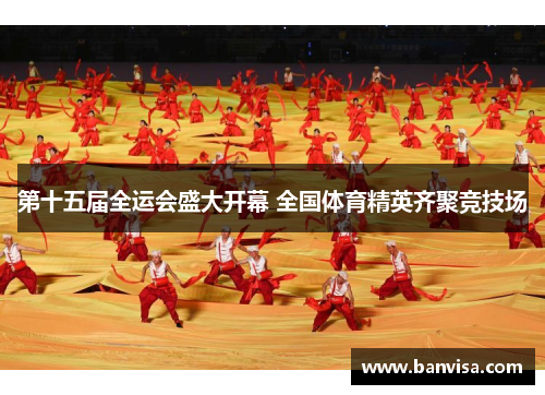 第十五届全运会盛大开幕 全国体育精英齐聚竞技场