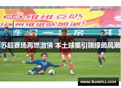 苏超赛场再燃激情 本土球星引领绿茵风潮